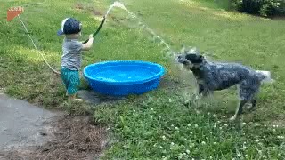 Шланг лучше палки