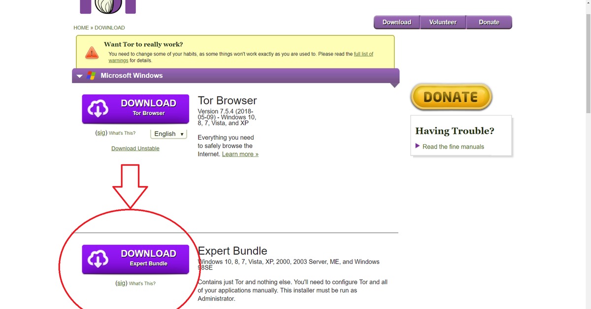is the tor browser download mega