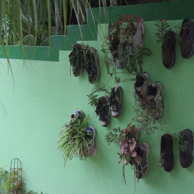 Plants in shoes - Оригинально, Plants, Shoes, From the network