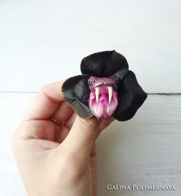 Brooch Snakeflower - My, Snake, Brooch, Polymer clay, Лепка, Handmade, Teeth, To fall, Needlework without process, Longpost