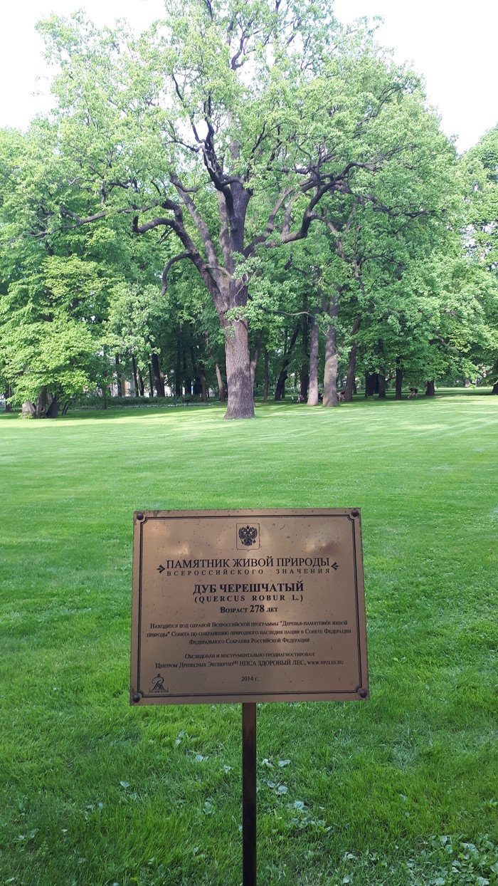 282 ������ ���