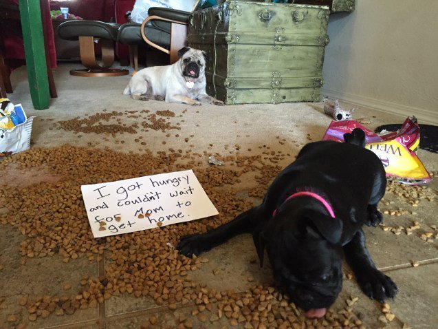 ��������� �������