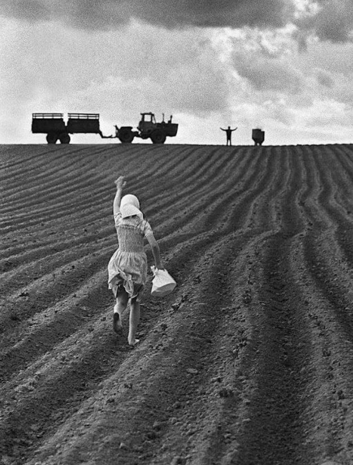 The girl carries lunch in the field - The photo, the USSR, Dinner, Tractor, Black and white photo, Field