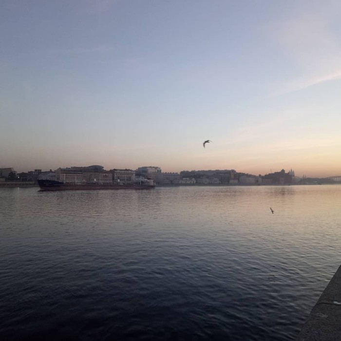 Peter - My, Saint Petersburg, Sunset, Morning, Mobile photography, Longpost