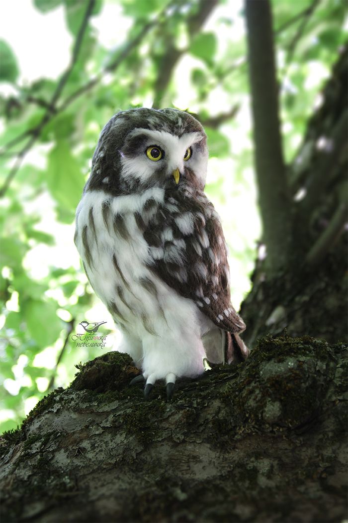 Upland owl. - My, Birds, Wallow, Dry felting, Owl, Owl, Handmade, Handmade, Longpost