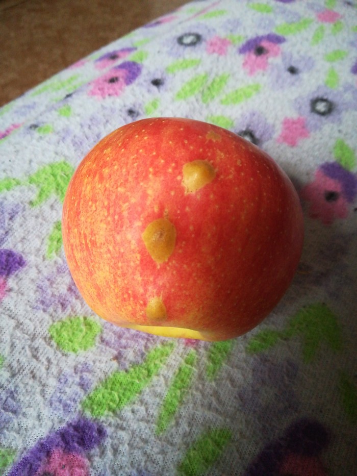 Scoliosis in an apple... - My, Oddities, Longpost, Apples, outgrowth, Rind