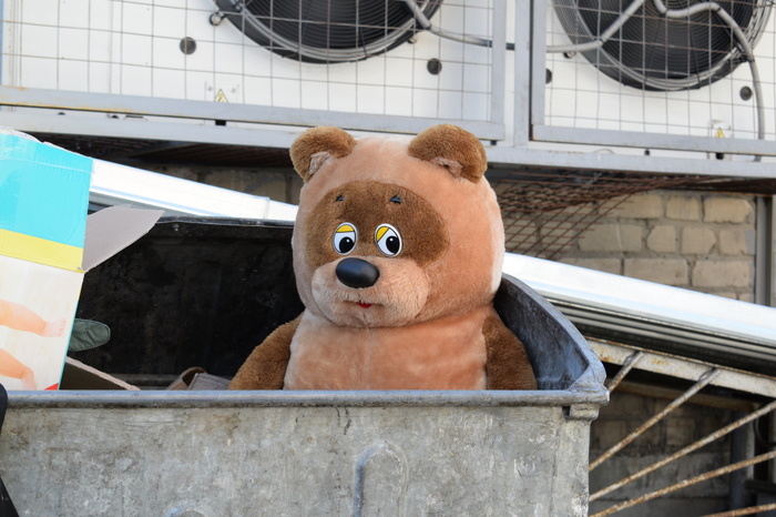 Childhood friend - Teddy bear, Garbage, Longpost, Childhood friends