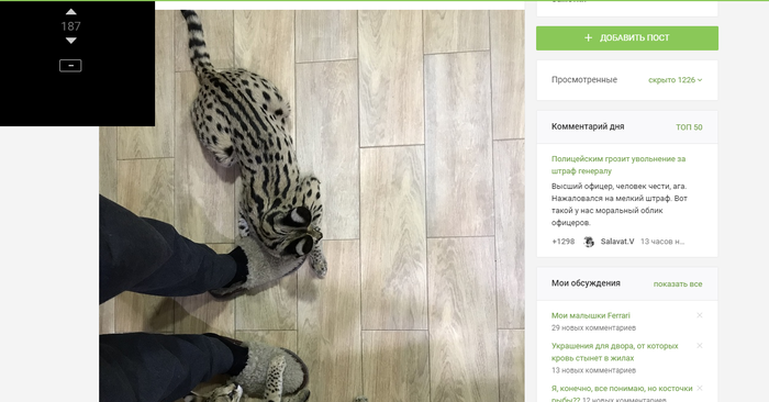 �������� ������ �������� �����