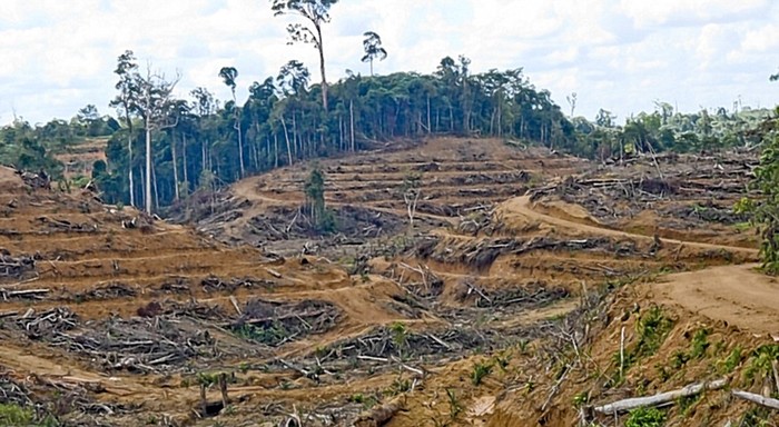 Рандомная География. Часть 49. Камбоджа. География, Интересное, путешествия, рандомная география, длиннопост