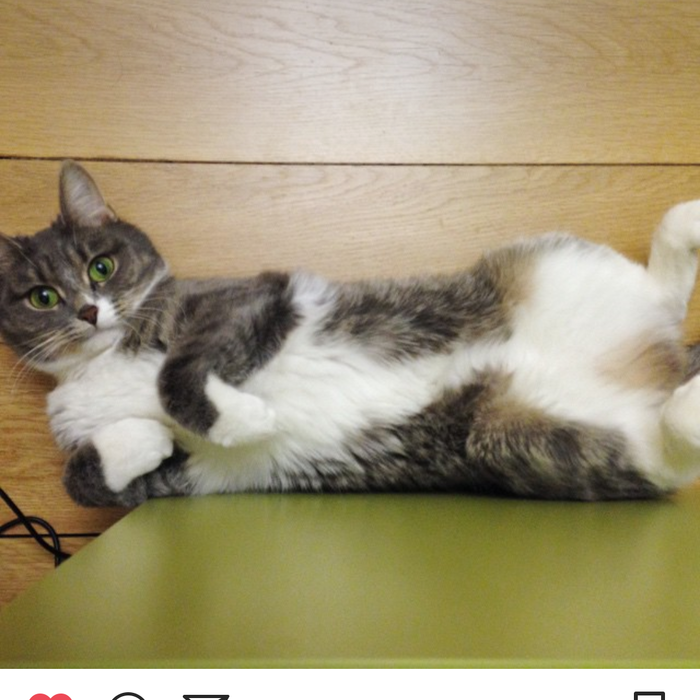 ������� �����. ����� ���� Pikabu!