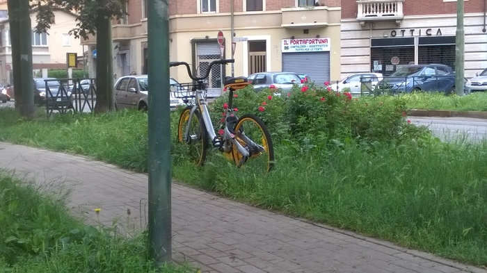 Bike sharing in Italian.. - My, Bike rental, Italy, Turin, Karma, Kindness, Vigilance, Social Psychology