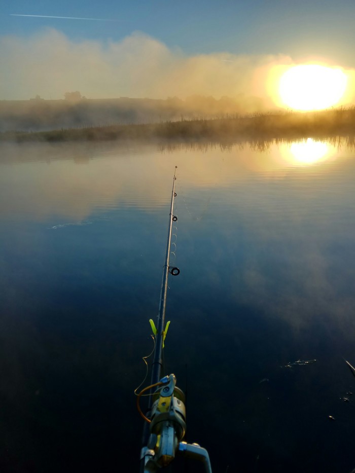 The beauty of morning fishing - My, Nature, Fishing, Fishing rod, dawn