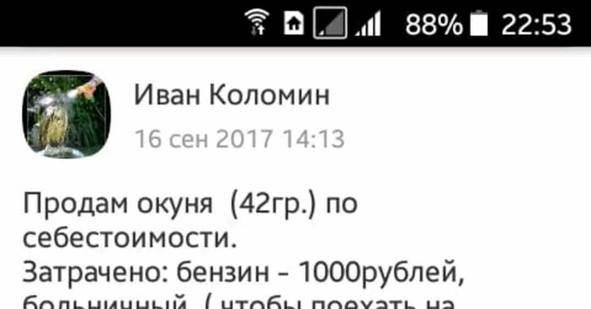 Продам 2 окуней по себестоимости картинка