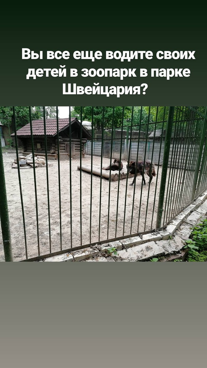 How did we go to the zoo? - Zoo, Nizhny Novgorod, Mockery, Longpost, No rating