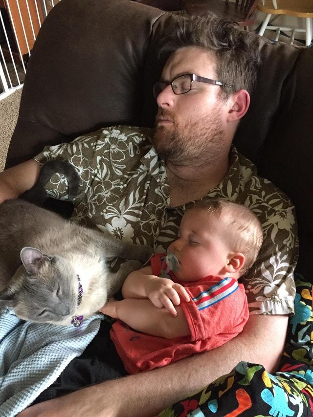 I came home to find all my boys sleeping - Reddit, Milota, Family, Dream, cat, Children