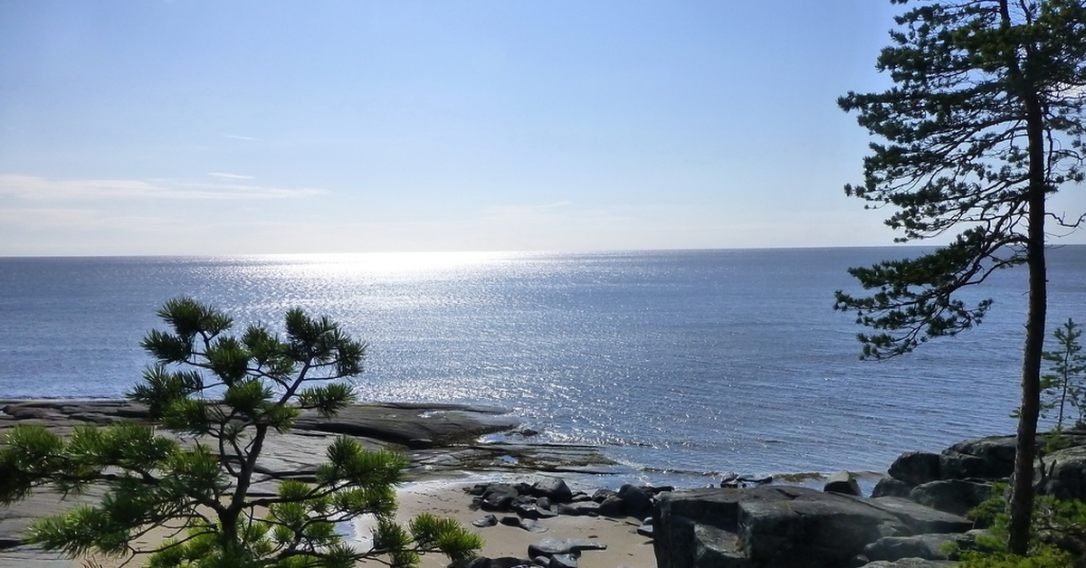 Курорты белого моря. Губа Сосновая белого моря. Покровское белое море. Поселок Покровское белое море. Поселок Онега на белом море фотографии.