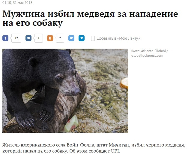 Such news - Baribal, Black Bear, news