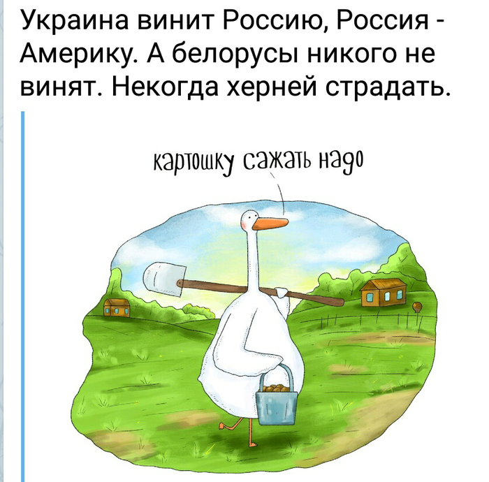 ������� ������ ��������