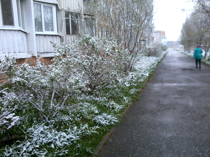 Summer has come - My, Summer, Snow, Ural, Perm Territory