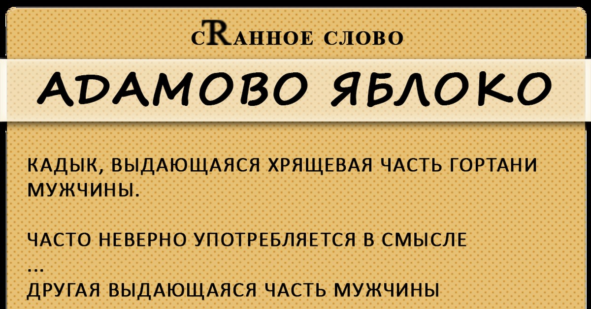 Какие странные слова. Странные слова. Странные непонятные слова. Непонятные слова в русском языке. Странные слова в русском языке.