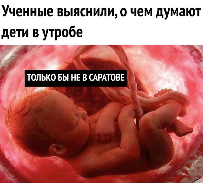 What are they thinking... - Saratov, Scientists, Omsk, Saratov vs Omsk, Children, From the network