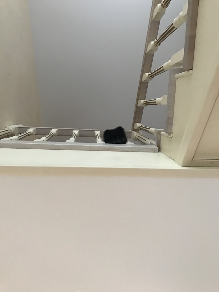 А вот что вижу я, приходя домой