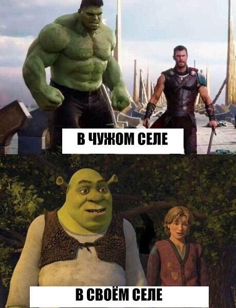 In a strange village, I'm the Hulk - Humor, Memes, Laugh, Hulk, Shrek