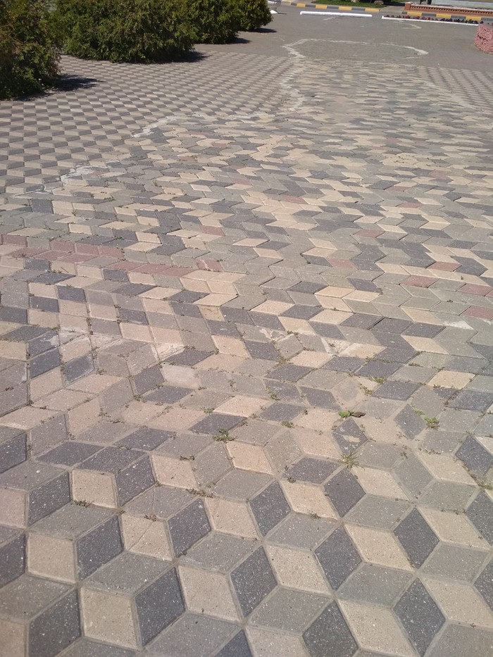 1527936585166776729.jpg