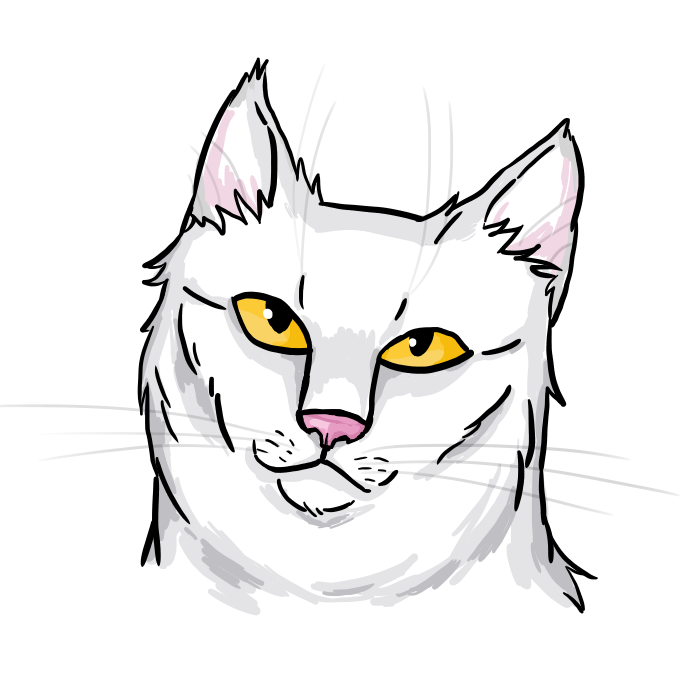 Turkish angora - My, cat, Drawing, Drawing on a tablet, Turkish angora