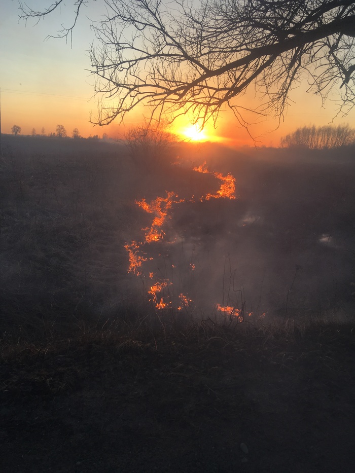 Fiery sunset and fiery horse - My, Fire, Bonfire, Sunset, beauty, Longpost