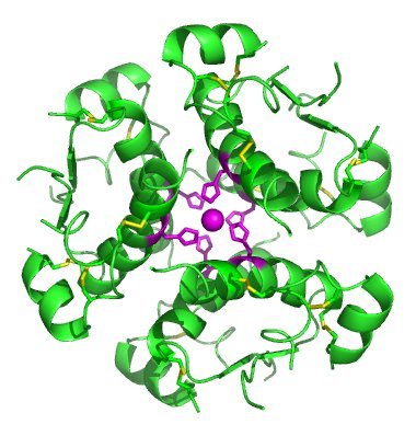 Diabetes mellitus or the story of glucose, the vascular killer. - My, Just about complicated, Diabetes, Glucose, Longpost