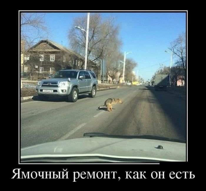 Patchwork - Russia, Repair, Russian roads, Optimism, Dog