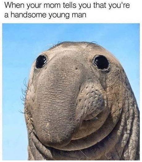 Когда твоя мама говорит, что ты красивый парень