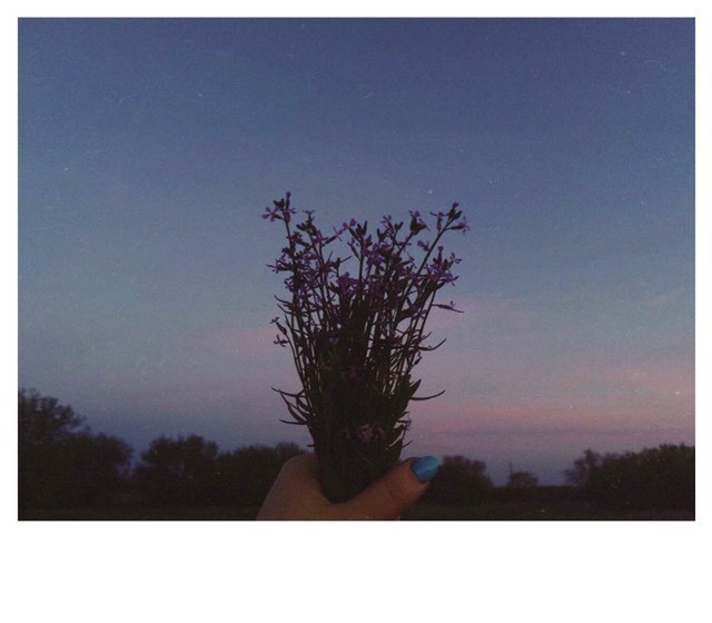 Цветотень с: | Пикабу