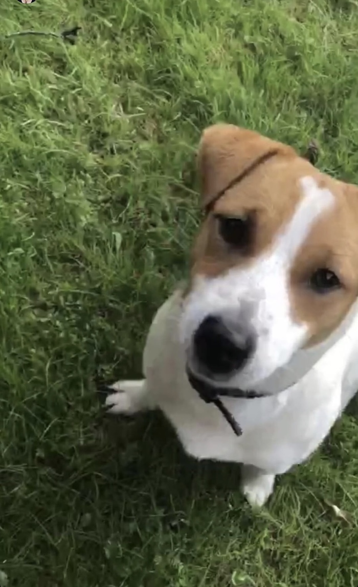 ��������� ����-������-������