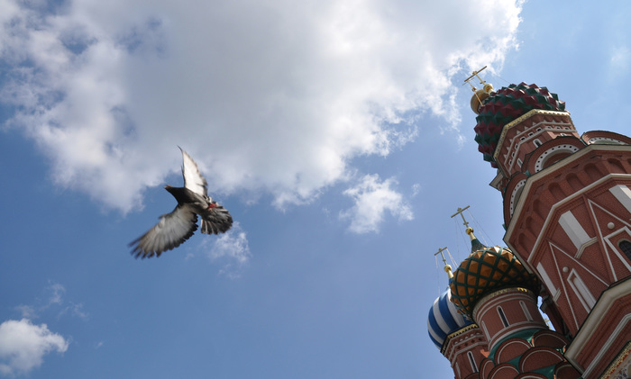 Flight over Red Square - My, Moscow, Pigeon, Flight, the Red Square, St. Basil's Cathedral, Sky, Open spaces, Summer