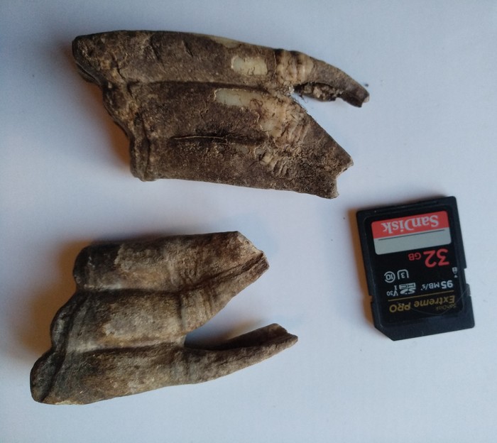   ? , , WhatIsThisThing