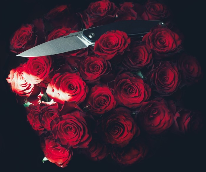 Girlish joys - My, the Rose, Knife, The photo, My, Longpost