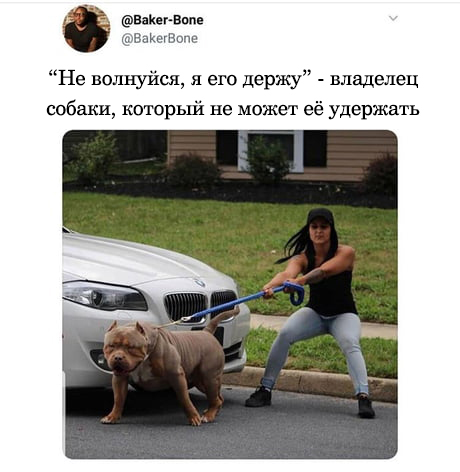 Не волнуйся, я его держу - Картинки, 9GAG, Животные, Собака, Люди, Кирпичный завод