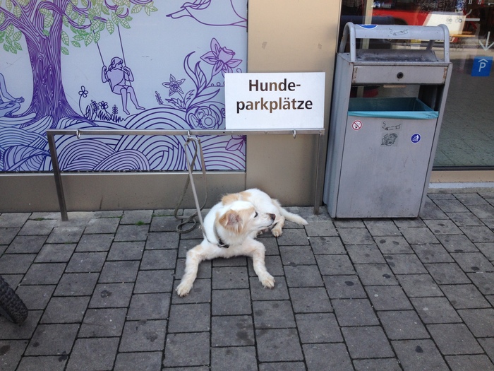 Dog parking spaces - My, Parking, Germany