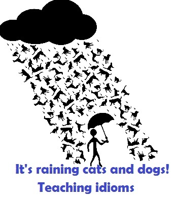 Rain of cats and dogs: exposing the spy - cat, Idioms, English language, Die Hard 3, Video