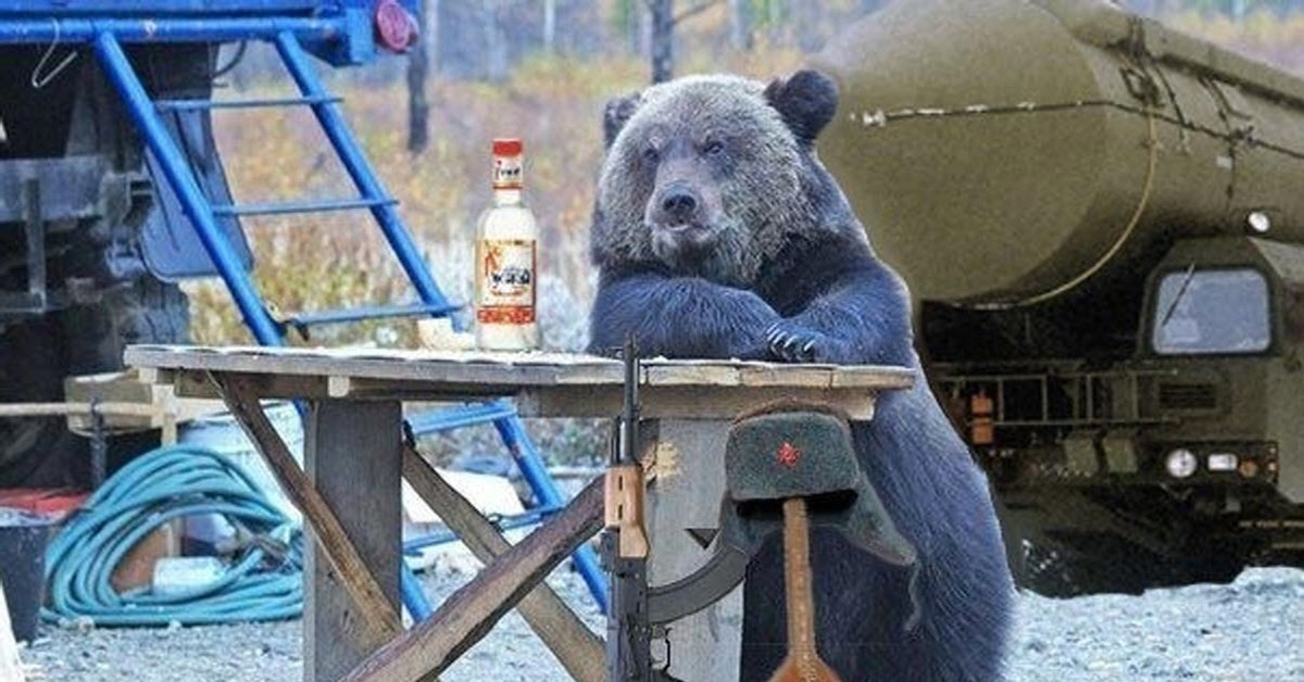 Пьющий медведь горе в семье