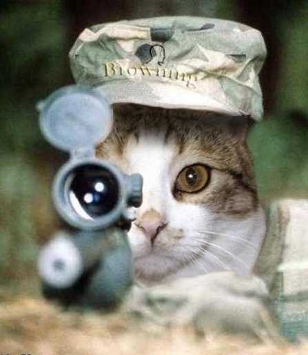 ����� � ���� �� ������, �� �������� ��������� ������� ������ � ���� ��������.