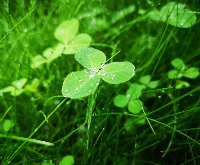 ������ ����� �����