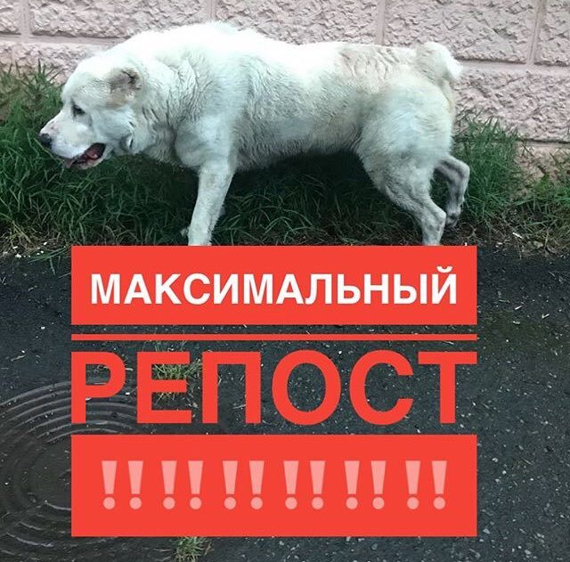  !!!   ,  , , 