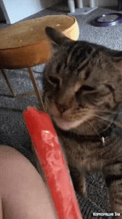  , , 