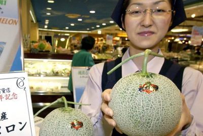 Two Japanese melons were sold for $29,000 - Фрукты, Berries, Melon, Japan, Market, Auction, Japanese, Sale