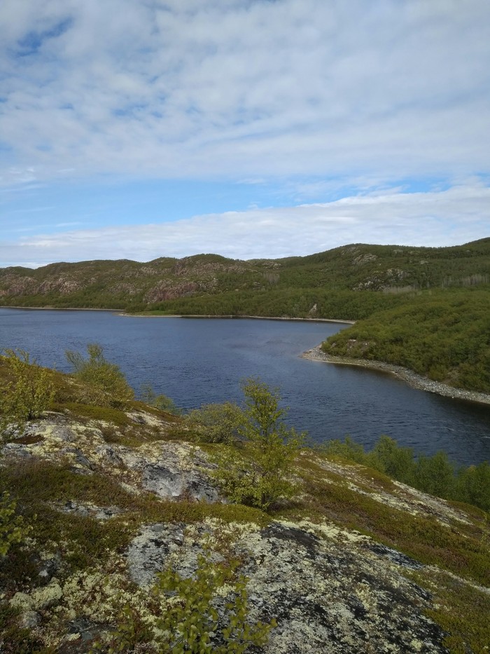 Когда ты живёшь на Севере и наслаждаешься летом как можешь Север, Природа, длиннопост