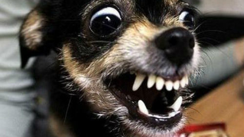 Специалисты встревожены