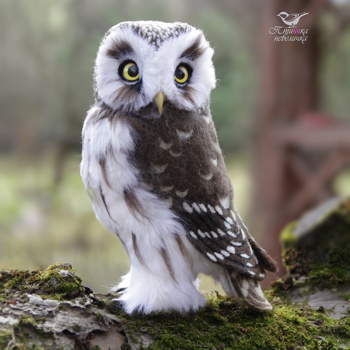 Rough-legged Owl (Aegolius funereus). Dry felting. - My, Dry felting, Needlework without process, Birds, With your own hands, Needlework, Handmade, Owl, Longpost